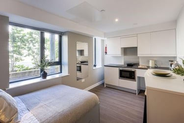 1 bed studio, Hollingdean Road, Elm Grove, Brighton, BN24QY - Image 4